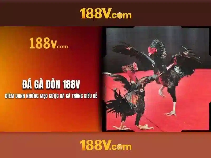 Nguon goc va y nghia