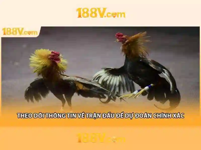 <!--IMG_PLACEHOLDER alt>Sản phẩm và dịch vụ của slot 188v-->