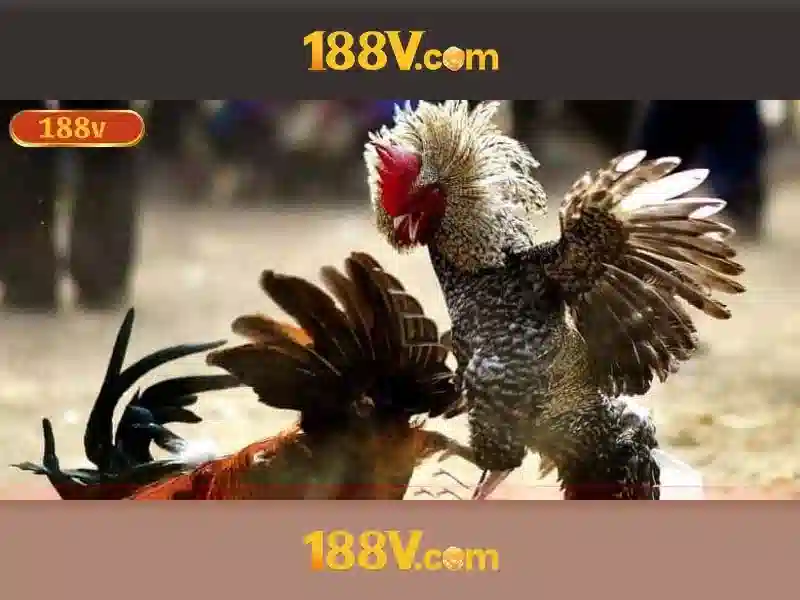 188v: Khám phá một khái niệm bất ngờ
