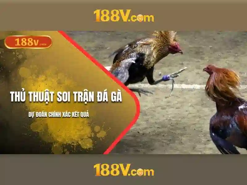 Khái niệm và nguồn gốc