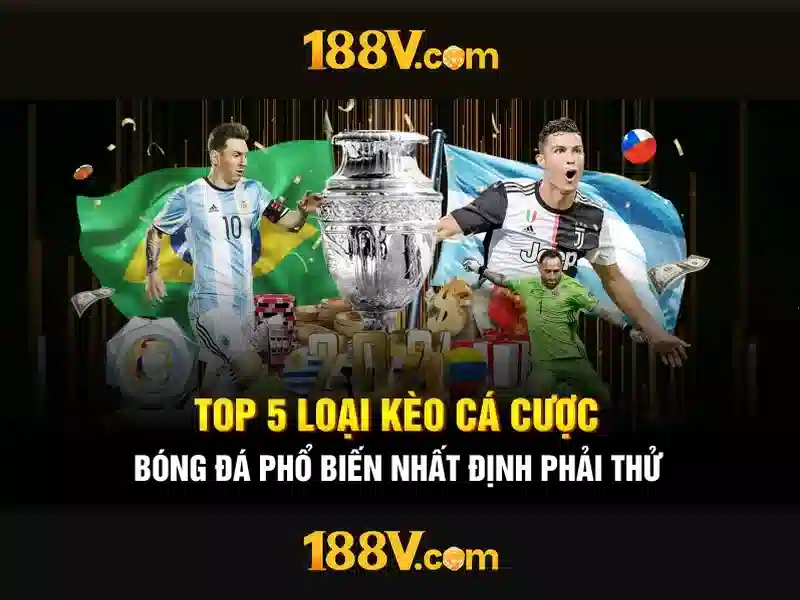 Trải nghiệm người dùng và phản hồi cộng đồng