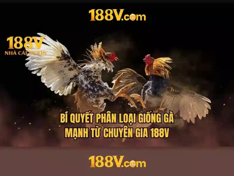 Khái niệm cốt lõi của 188v