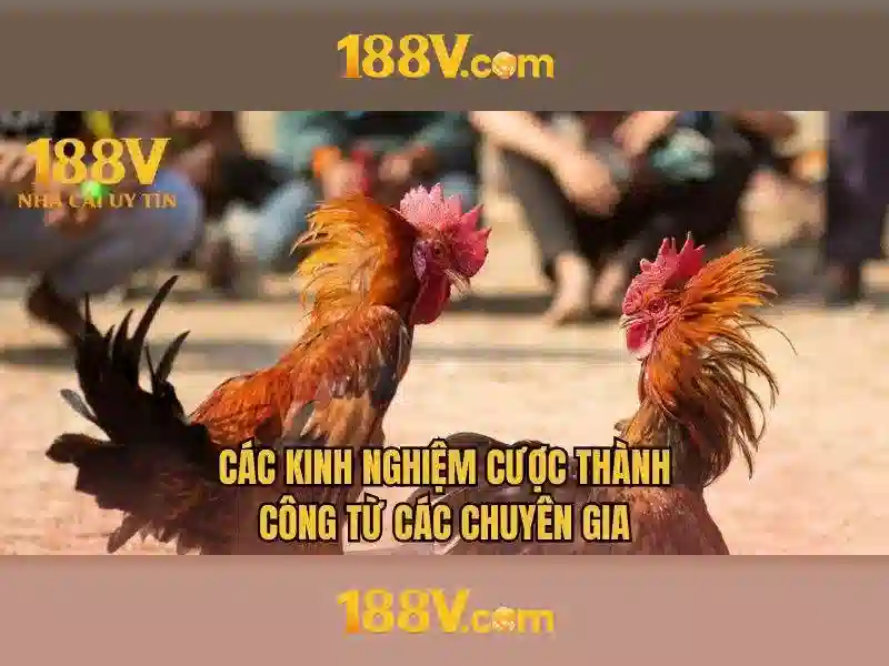 Kiểm tra và bảo trì hệ thống 188V