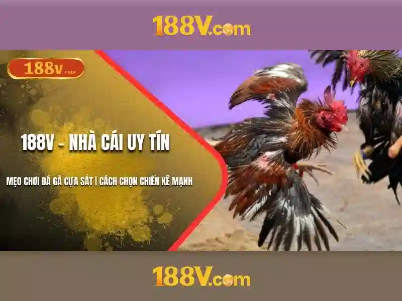 đánh giá 188v – tổng quan chủ đề và giá trị cốt lõi