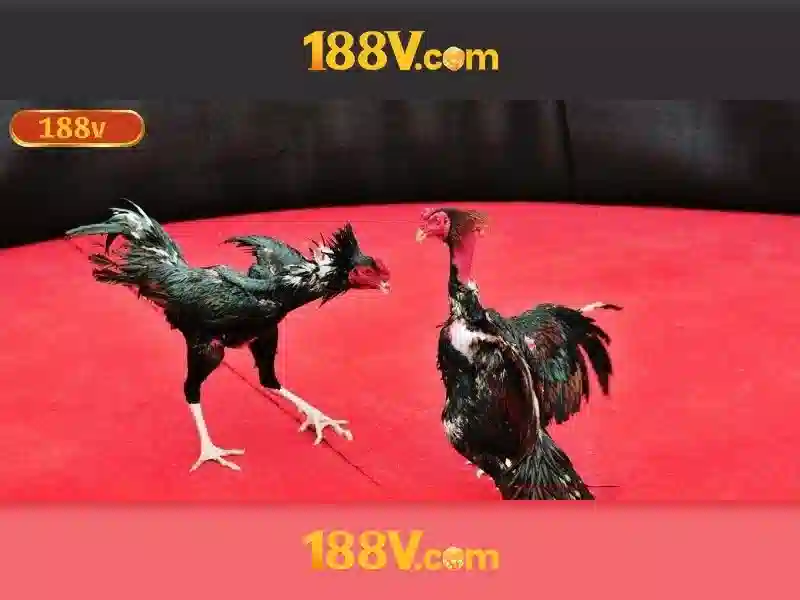 Tương lai và tác động xã hội