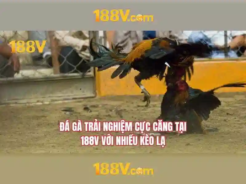 An toàn và bảo hộ