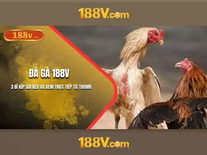 An toàn và xử lý rủi ro khi làm việc với 188v