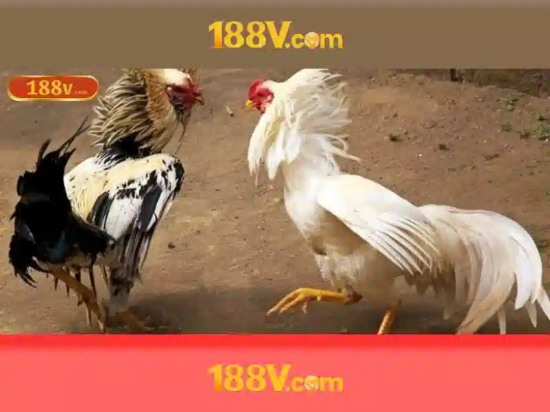 Ứng dụng thực tế của 188v