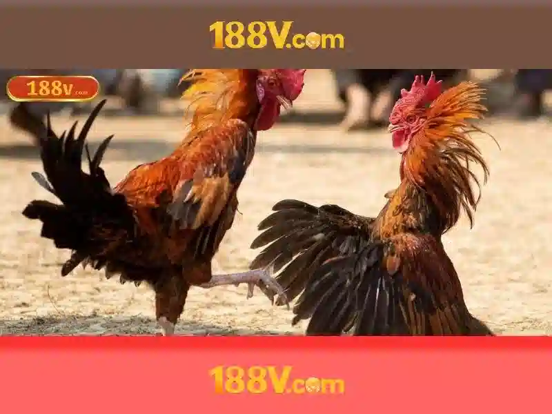 188V: Hiểu về nguồn điện và ứng dụng