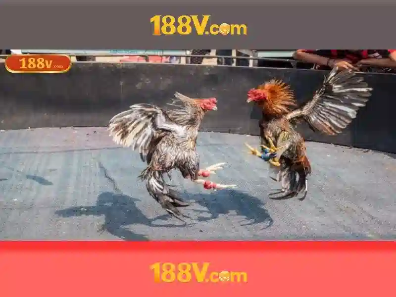 188v: một ký hiệu điện áp và văn hóa số