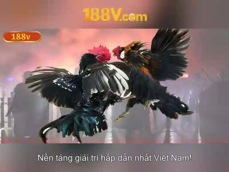 Âm nhạc của ánh sáng và nhịp điệu thị giác