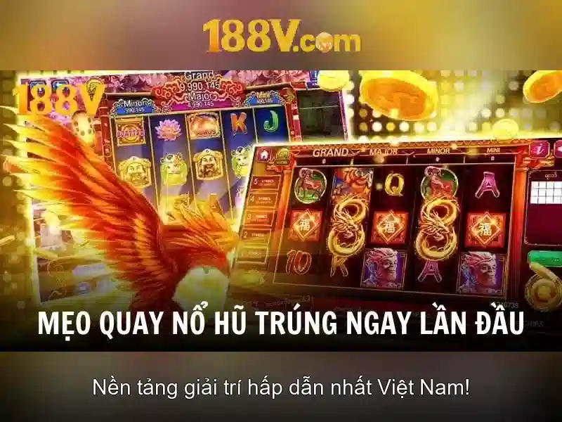 Trải nghiệm người dùng và phản hồi từ cộng đồng