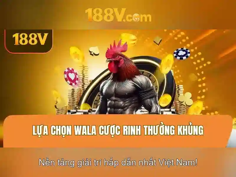Khám phá 188v: khái niệm và ứng dụng