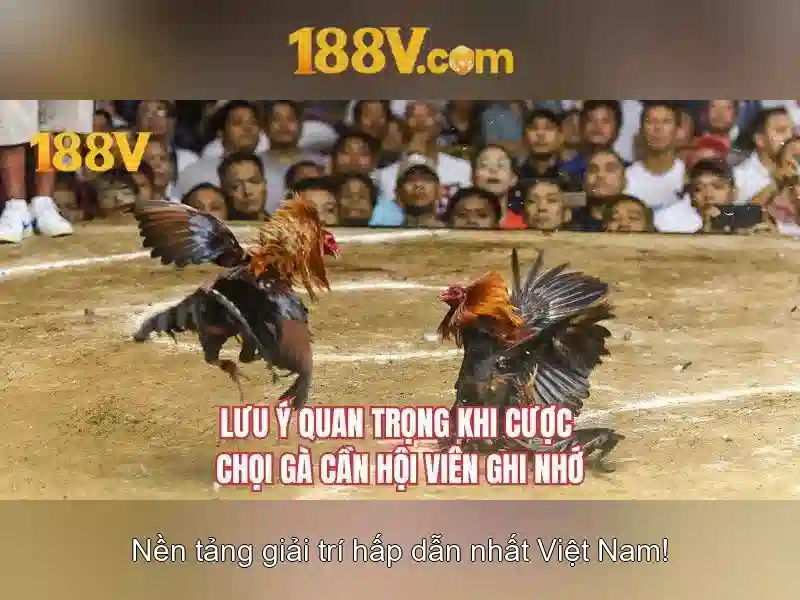 Khám phá 188v: một hành trình thời gian và không gian