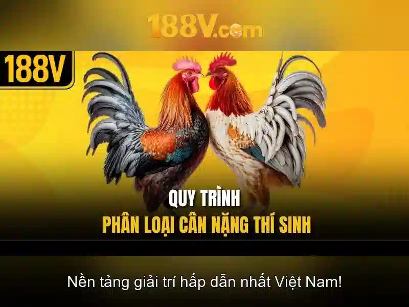Khái niệm 188v và ứng dụng của nó