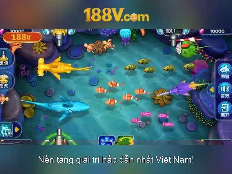 Khái niệm cốt lõi của 188v