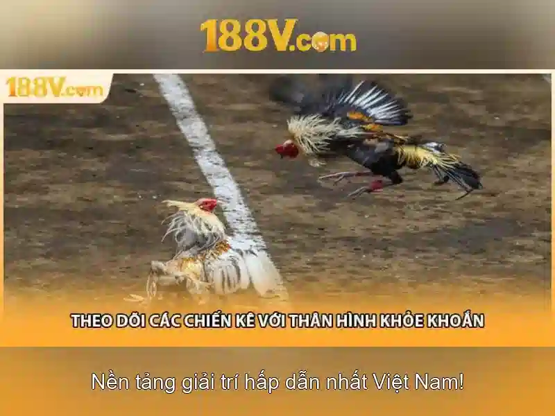 đánh giá 188v: trải nghiệm và tiềm năng nền tảng 188v
