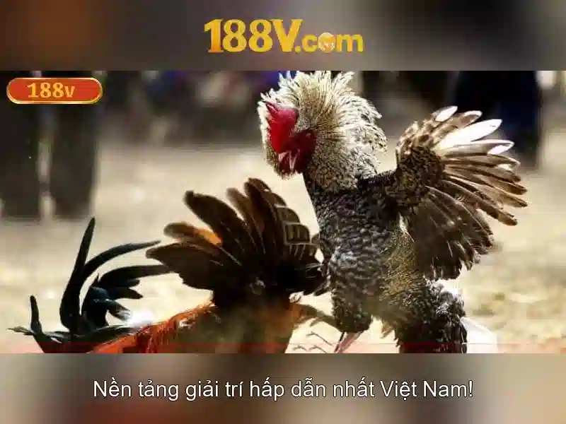 Khái niệm 188v