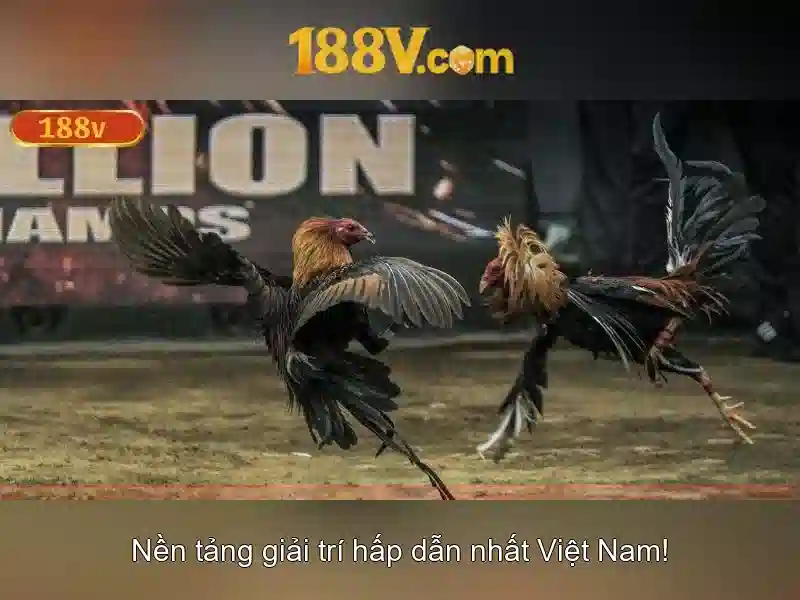 Ý nghĩa và ứng dụng