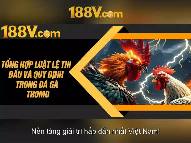 Lịch sử và nguồn gốc