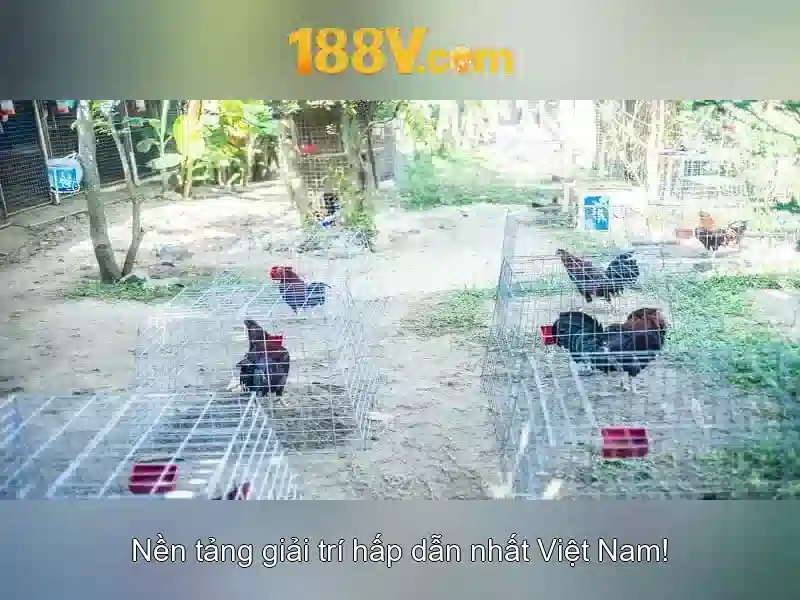 188V: một cái nhìn tổng quan về điện áp 188V