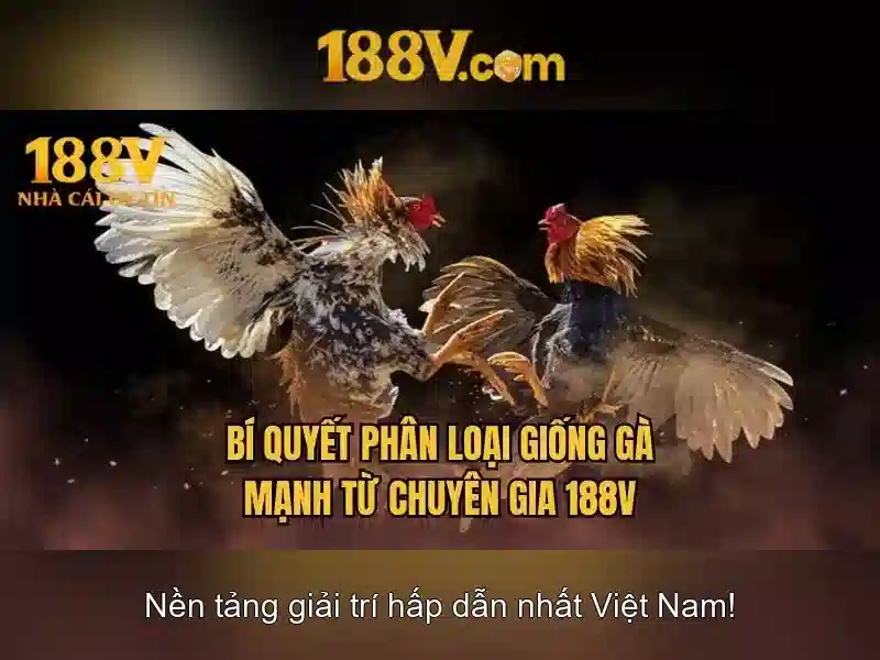 Khởi động 188v: Lịch sử Khởi động 188v: Lịch sử