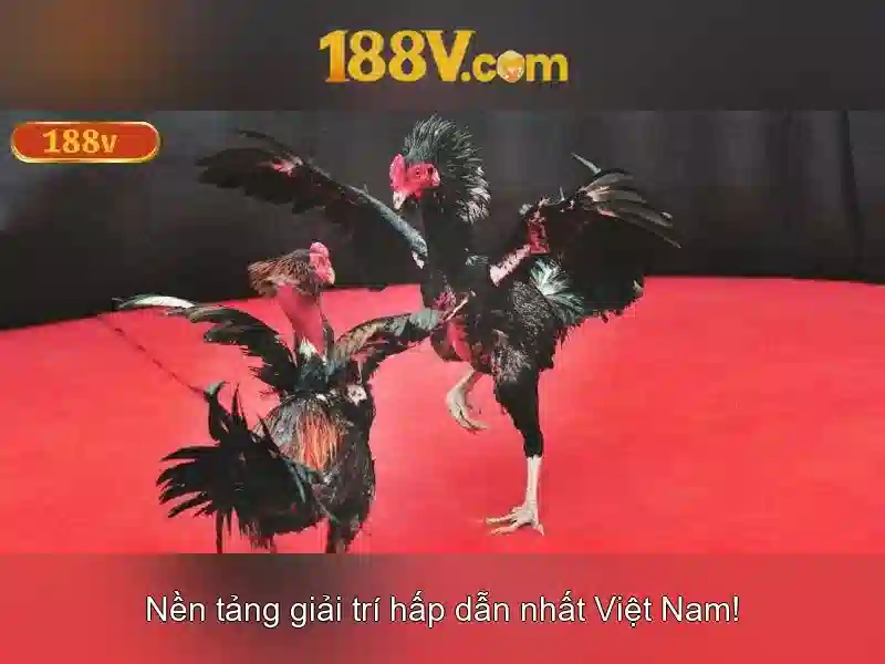 188v: một khái niệm trong công nghệ và xã hội