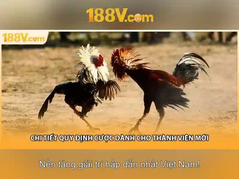 Khám phá 188v: một hành trình giữa thiết kế và công nghệ