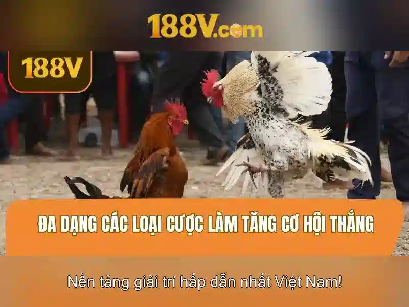 188v: một khởi đầu và hành trình trong thế giới số