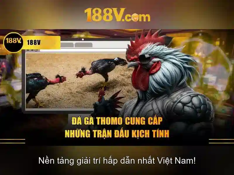 188v: một hành trình giữa công nghệ và cảm xúc