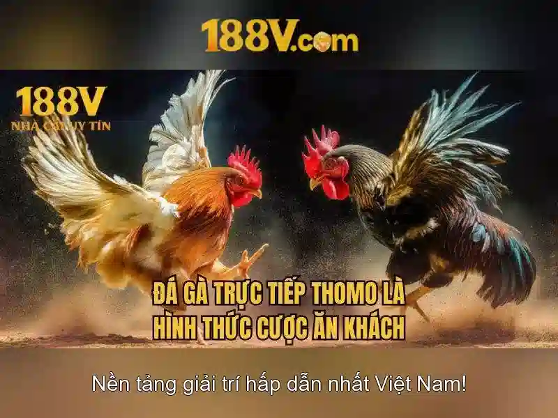 Nguồn gốc và ý nghĩa của con số 188V