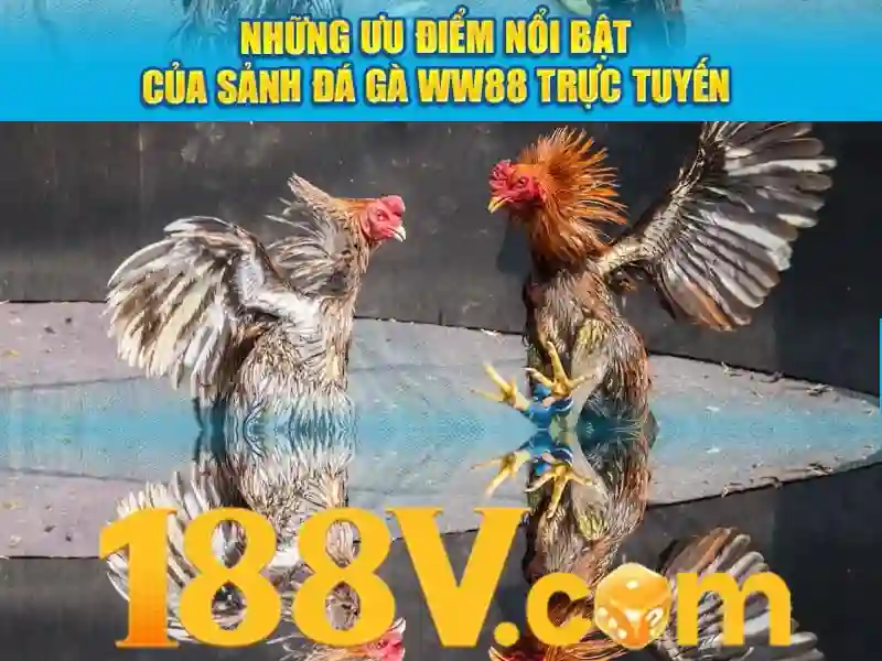 Khám phá 188v: nguồn năng lượng tiềm ẩn